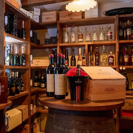 酒店 吉安娜酒店 4*