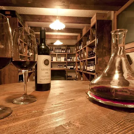酒店 吉安娜酒店 4*